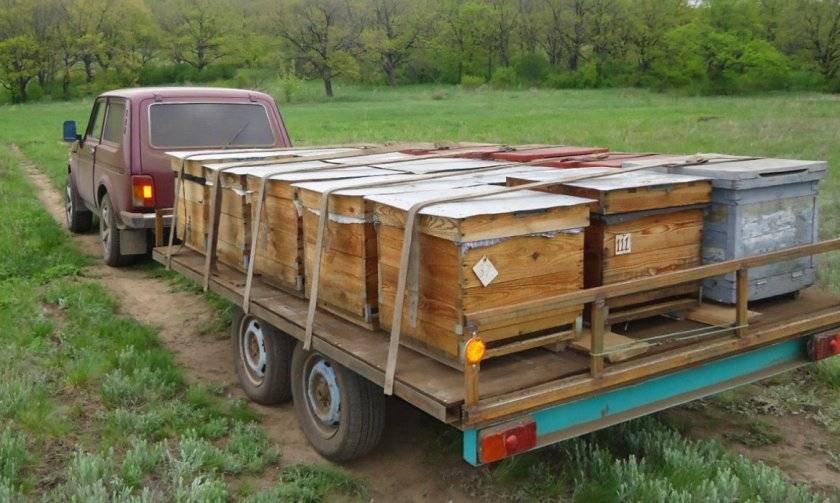 Домик пчеловода: вагончик на колесах, разборный, сарай, как сделать своими руками